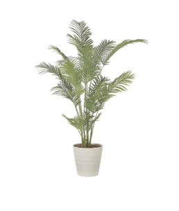 フレッシュパーム1.8