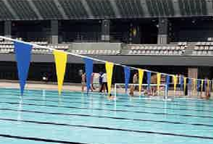 公認プール用背泳用三角旗